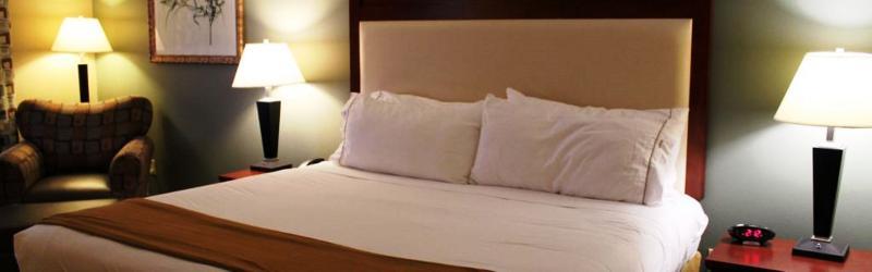Holiday Inn Express & Suites Baton Rouge East By Ihg Prairieville Luaran gambar